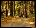 THN_022_00060.JPG