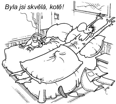 Obrázek