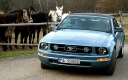 THN_037_0000000000000000000000000000000000000MUSTANG_KONE5UPRAVA.JPG