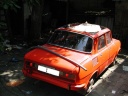 THN_87_P8030040.JPG
