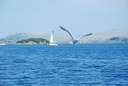 THN_378_CROATIA_2009.1.JPG