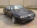 THN_608_ALFA_SPIDER_5.JPG