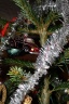 THN_667_46_VWESELE_VWANOCE_2012.JPG